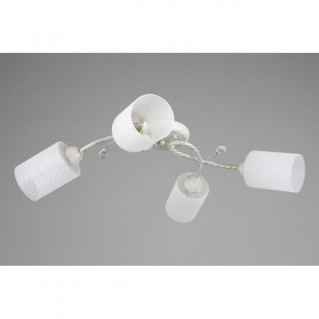 Люстры накладные — Накладная люстра Omnilux OML-28607-04 купить в 