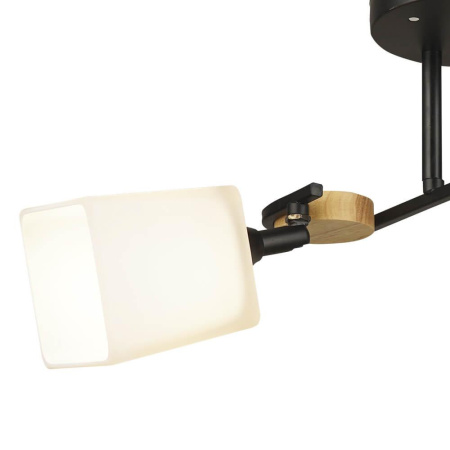 Потолочные люстры — Потолочная люстра Seven Fires Ivetta 66582.01.14.02 купить в 