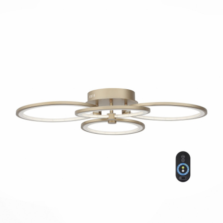 Накладные светильники — Накладной светильник ST-Luce SL867.202.04 купить в 