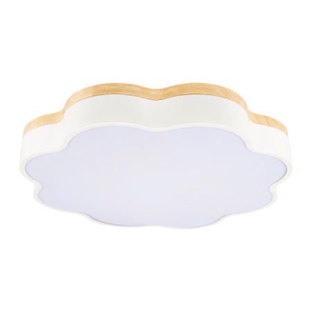 Накладные светильники — Накладной светильник LOFT IT 10225/36 White купить в 