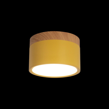 Детские точечные светильники — Детский точечный светильник LOFT IT 10162 Yellow купить в 