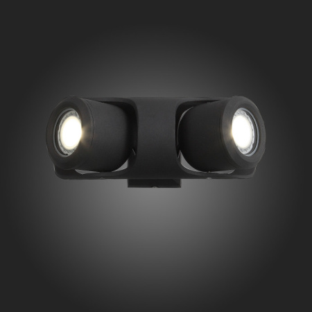 Уличные настенные светильники — Светильник настенный ST-Luce SL093.401.02 купить в 