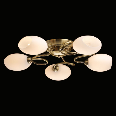 Люстры накладные — Накладная люстра MW-Light 267011805 купить в  Люстры накладные — Накладная люстра MW-Light 267011805 купить в