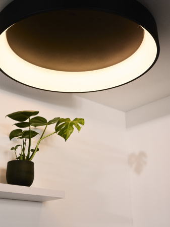 Влагозащищенные точечные светильники — Влагозащищенный светильник LUCIDE 46100/80/30 купить в  Влагозащищенные точечные светильники — Влагозащищенный светильник LUCIDE 46100/80/30 купить в