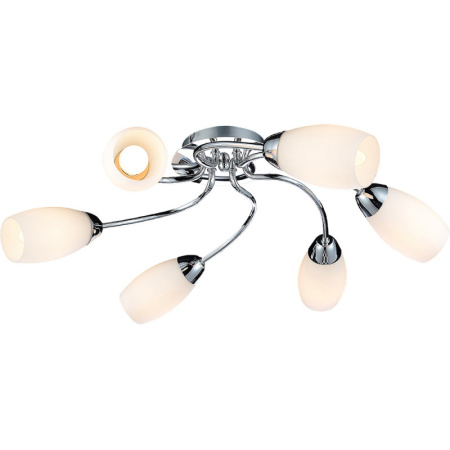 Люстры накладные — Накладная люстра Lussole LSP-0133 купить в  Люстры накладные — Накладная люстра Lussole LSP-0133 купить в