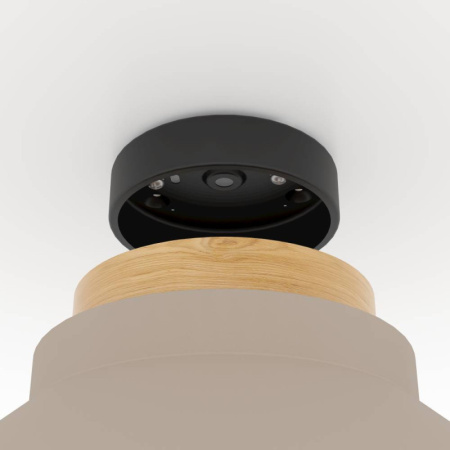 Накладные светильники — Накладной светильник EGLO 900736 купить в 