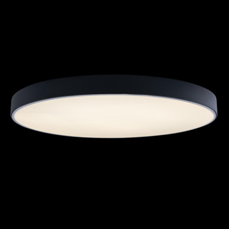 Накладные светильники — Накладной светильник LOFT IT 10002/48 Black купить в 