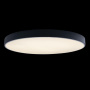 Накладные светильники — Накладной светильник LOFT IT 10002/48 Black купить в 