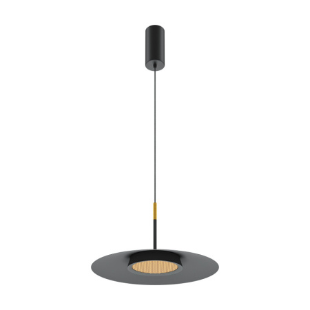 Подвесные светильники — Подвесной светильник Maytoni MOD041PL-L15B3K1 купить в 