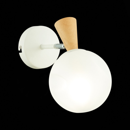 Настенные бра — Бра Evoluce SLE220701-01 купить в 