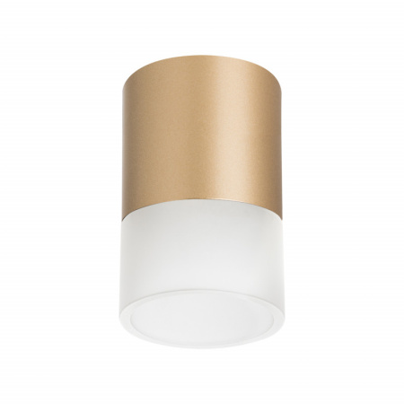 Накладные точечные светильники — Накладной светильник Lightstar R349081 купить в  Накладные точечные светильники — Накладной светильник Lightstar R349081 купить в