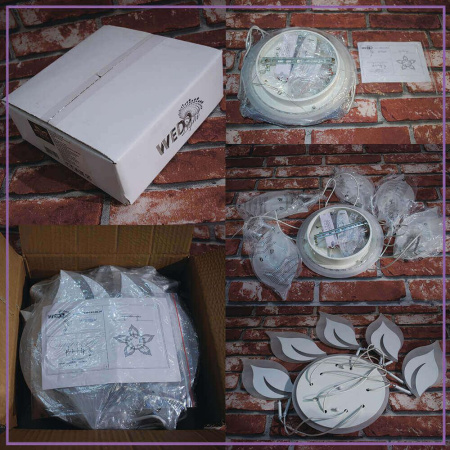 Потолочные люстры — Потолочная люстра Seven Fires Omenya 75391.01.09.05 купить в 