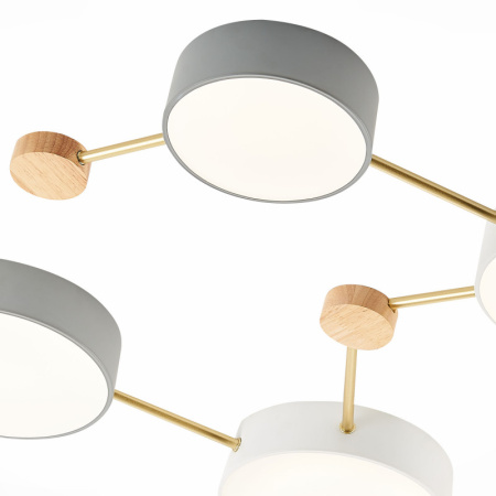 Накладные светильники — Накладной светильник Evoluce SLE600102-08 купить в 