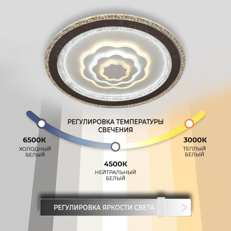 Потолочные светильники — Потолочный светильник Seven Fires Ejmund 75383.01.09.136 купить в 