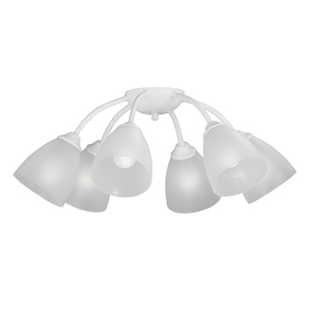 Люстры накладные — Накладная люстра Vitaluce V3737-0/6PL купить в  Люстры накладные — Накладная люстра Vitaluce V3737-0/6PL купить в