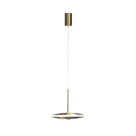 Подвесные светильники — Подвесной светильник LOFT IT 10036/200 купить в 