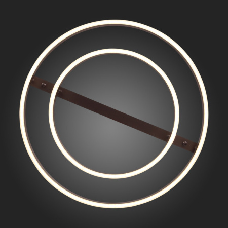 Накладные светильники — Накладной светильник ST-Luce SL944.402.02 купить в 