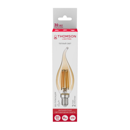 Светодиодные лампы — Светодиодная лампа THOMSON TH-B2119 купить в 