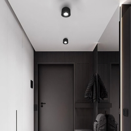 Накладные точечные светильники — Накладной светильник LOFT IT 10219 Black 4000K купить в  Накладные точечные светильники — Накладной светильник LOFT IT 10219 Black 4000K купить в