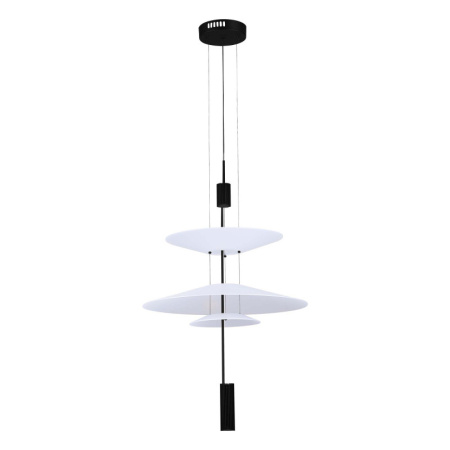 Подвесные светильники — Подвесной светильник ST-Luce SL6101.413.01 купить в 