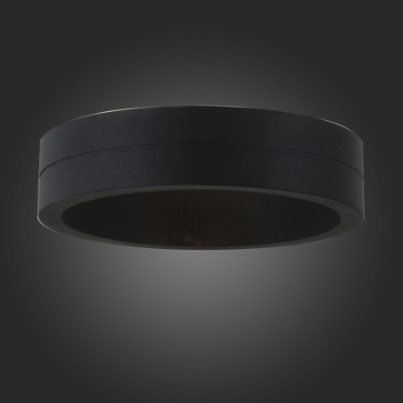 Уличные настенные светильники — Светильник настенный ST-Luce SL562.401.01 купить в 