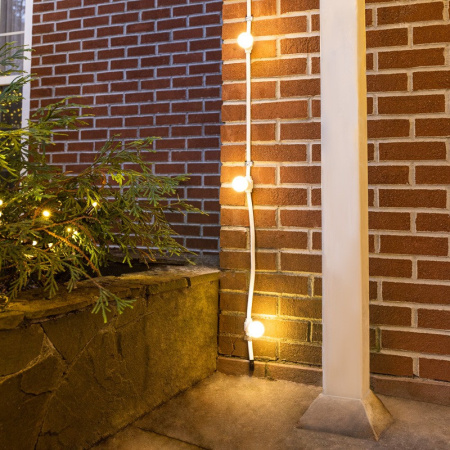 Белт-Лайт — Белт-Лайт Neon-Night 331-254 купить в 