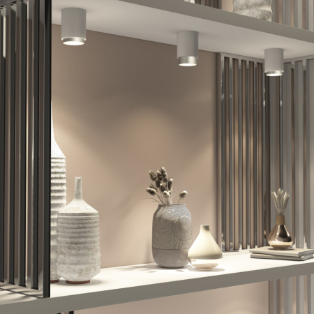 Накладные светильники — Накладной светильник Elektrostandard Cors 10W (25032/LED) белый/серебро купить в 