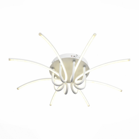 Накладные светильники — Накладной светильник ST-Luce SL953.502.08 купить в 