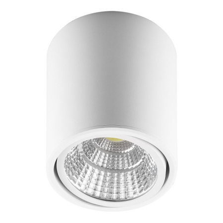 Накладные точечные светильники — Накладной светильник Feron 29868 купить в 