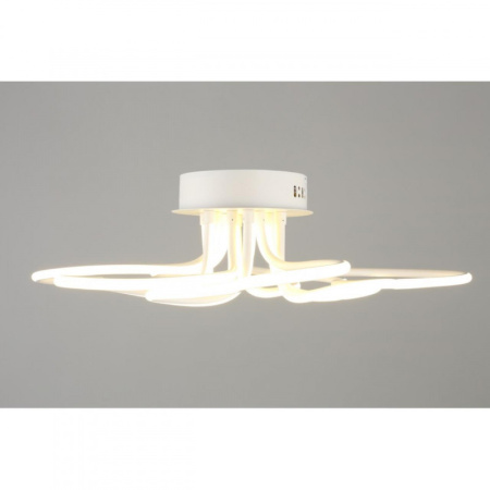 Люстры накладные — Накладная люстра Omnilux OML-04307-102 купить в 