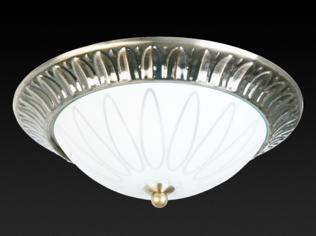 Накладные светильники — Накладной светильник TOPLIGHT TL5050Y-02AB купить в  Накладные светильники — Накладной светильник TOPLIGHT TL5050Y-02AB купить в