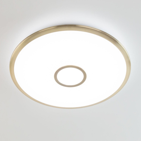 Накладные светильники — Накладной светильник Citilux CL703A83G купить в 