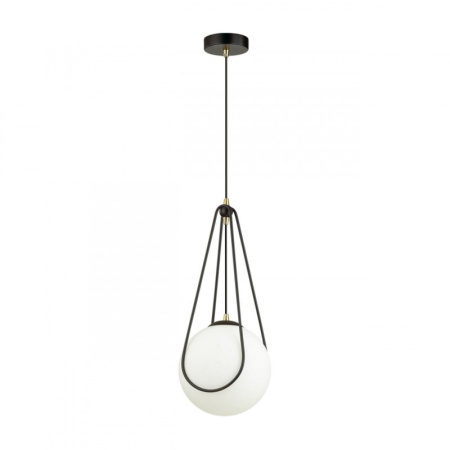 Подвесные светильники — Подвесной светильник Odeon Light 4268/1 купить в 