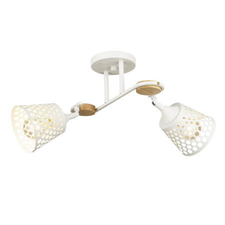 Потолочные люстры — Потолочная люстра Seven Fires Karel SF3326/2C-WT-WD купить в 