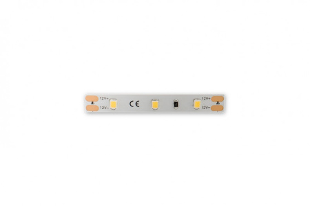 Светодиодные ленты — Лента DesignLed DSG260-12-NW-33 купить в  Светодиодные ленты — Лента DesignLed DSG260-12-NW-33 купить в