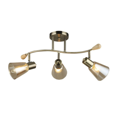 Потолочные светильники — Спот Seven Fires Perri 66775.01.05.03 купить в 