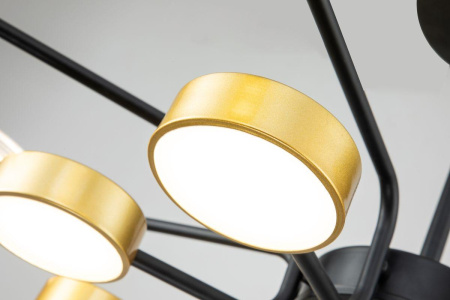 Потолочные люстры — Потолочная светодиодная люстра Escada Halo 10211/SG LED купить в 