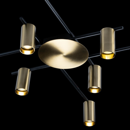 Люстры накладные — Накладная люстра LOFT IT 8120C-10 купить в 