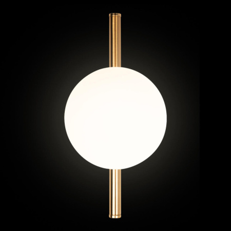 Настенные бра — Бра LOFT IT 10236/1W купить в 