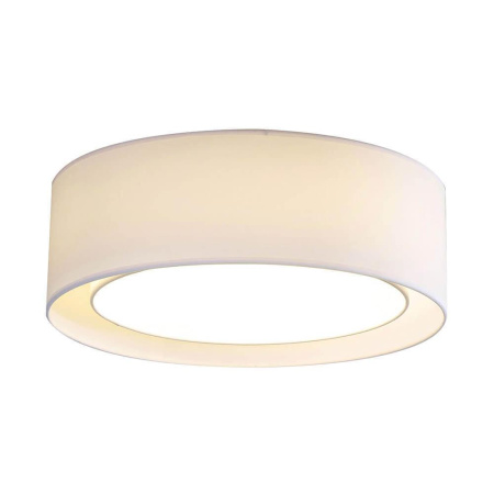 Потолочные светильники — Потолочный светильник Azzardo Milo AZ2318 купить в 