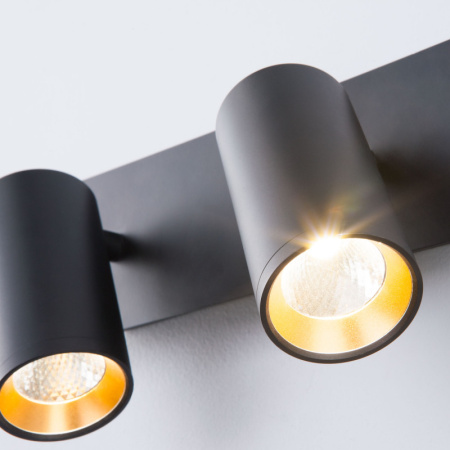 Споты — Спот Eurosvet 20066/2 LED черный/золото купить в  Споты — Спот Eurosvet 20066/2 LED черный/золото купить в
