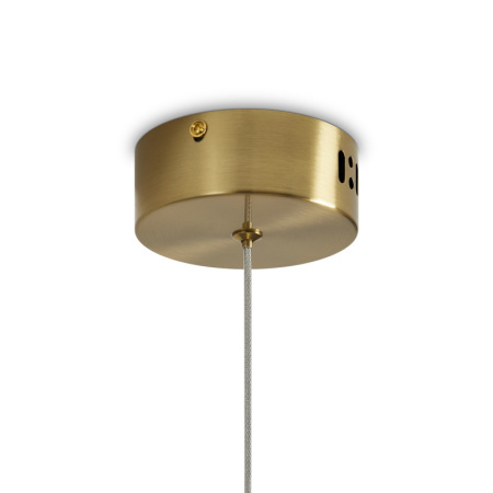 Подвесные светильники — Подвесной светильник Freya FR6139PL-L8BS1 купить в 