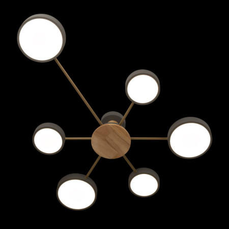 Накладные светильники — Накладной светильник LOFT IT 10316/6 Grey купить в 