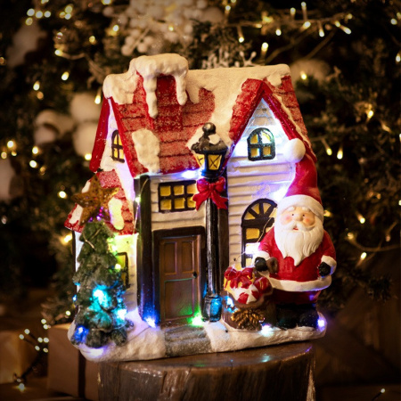 Декоративные светильники — Декоративный светильник Neon-Night 505-010 купить в 