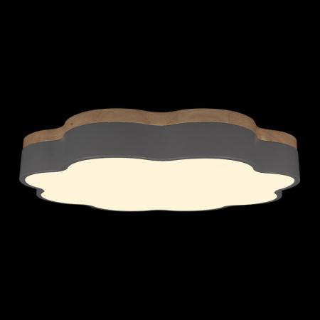 Накладные светильники — Накладной светильник LOFT IT 10225/36 Grey купить в 