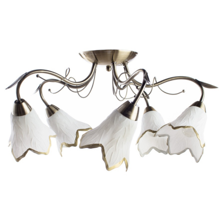 Люстры накладные — Накладная люстра ARTE Lamp A6066PL-5AB купить в 