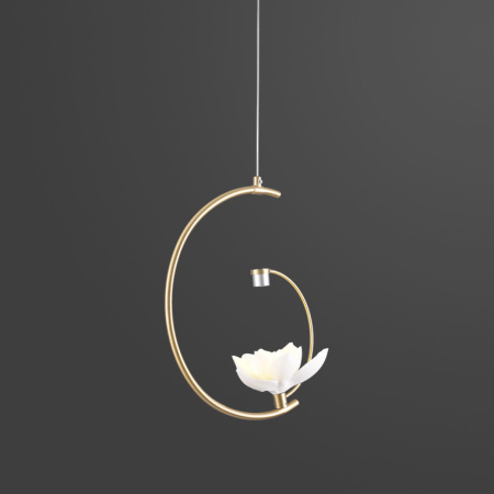 Подвесные светильники — Подвесной светильник ImperiumLoft 101770-26 купить в 