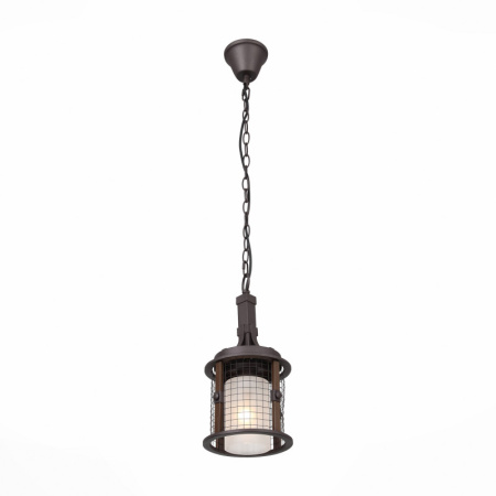 Подвесные светильники — Подвесной светильник ST-Luce SL266.303.01 купить в 