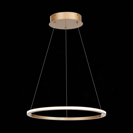 Подвесные светильники — Подвесной светильник ST-Luce ST604.243.22 купить в 