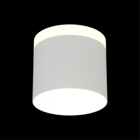 Накладные точечные светильники — Накладной светильник Omnilux OML-102309-16 купить в  Накладные точечные светильники — Накладной светильник Omnilux OML-102309-16 купить в